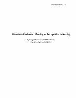 Page 1: Literature Review on Meaningful Recognition in Nursing